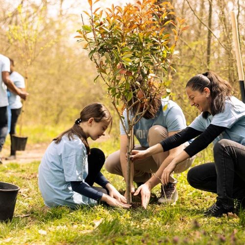 Abogado para protección de áreas verdes en Copiapó - Sanciones por daño a espacios públicos y áreas verdes